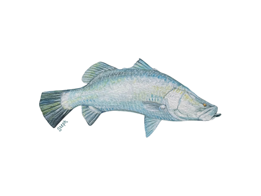Barra Original Artwork