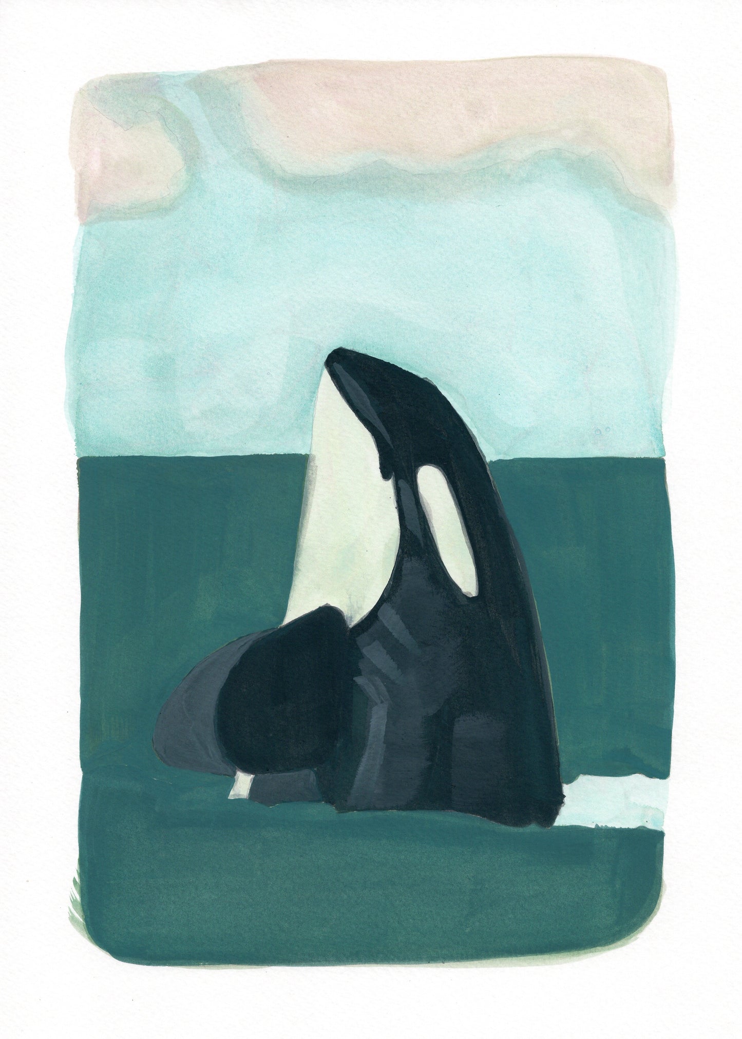 Orca Original