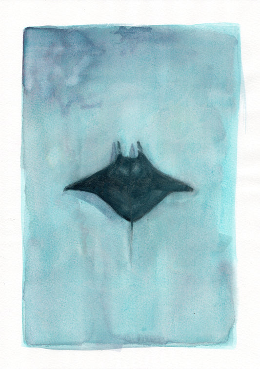 Manta Ray Original