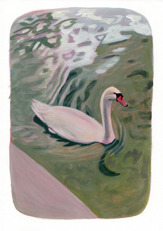 Swan Original