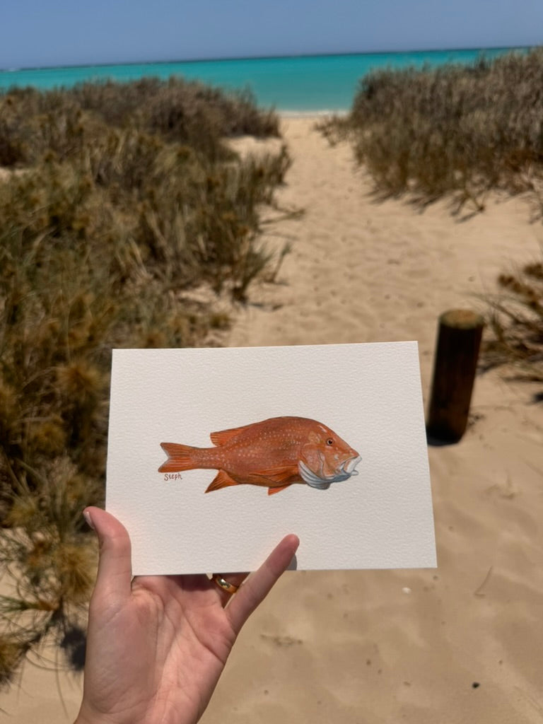 Red Emperor Original Artwork