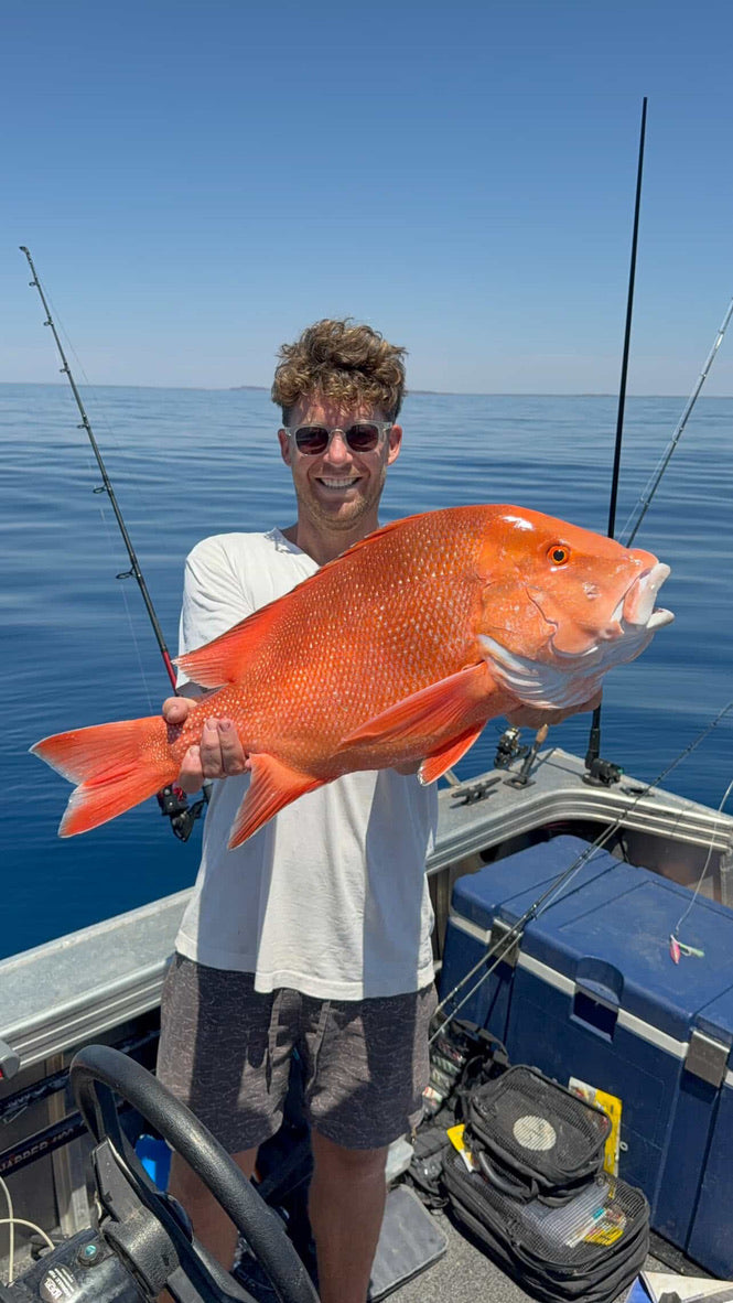 Red Emperor Original Artwork