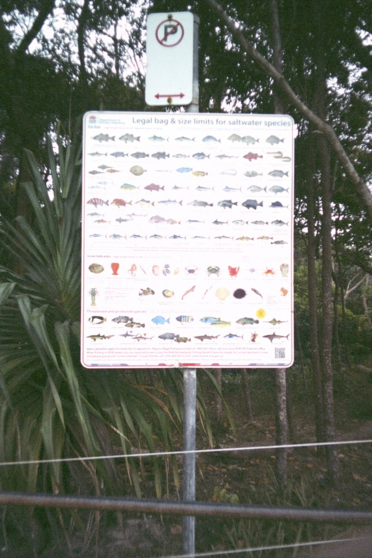 Marlin Embroidered T-shirt