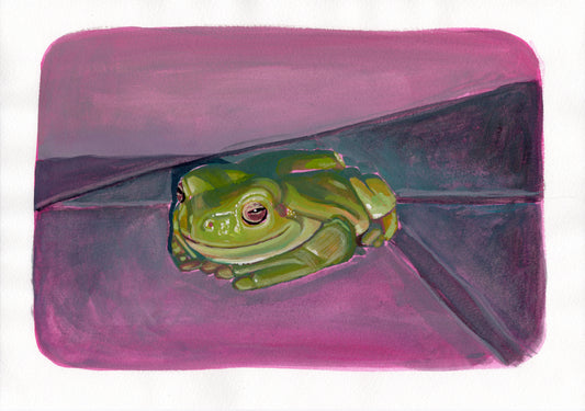 Frog Original