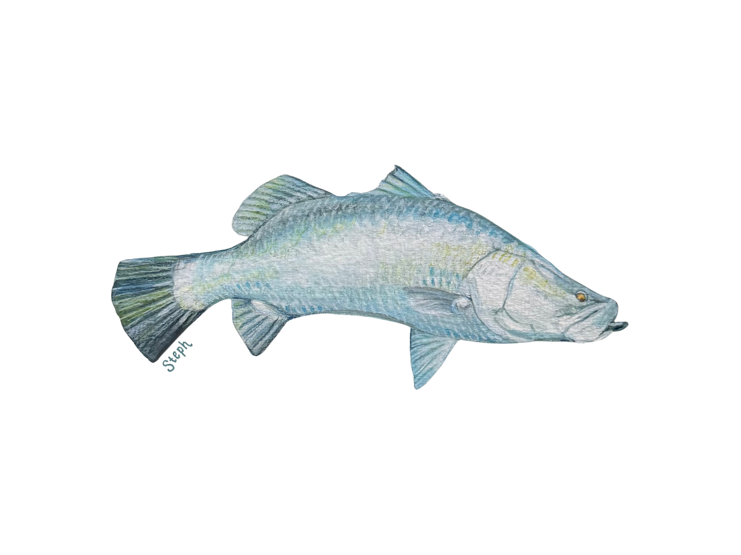 Barra Original Artwork