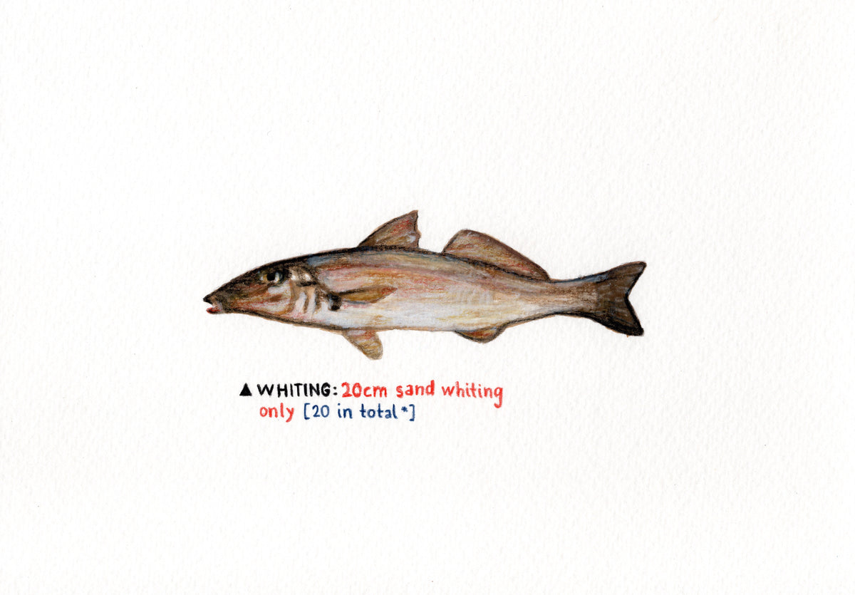 Whiting Print